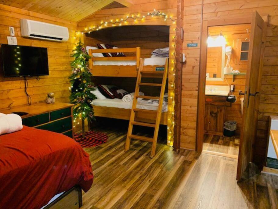 Honeybear Hideaway Cabin Hayward Ngoại thất bức ảnh
