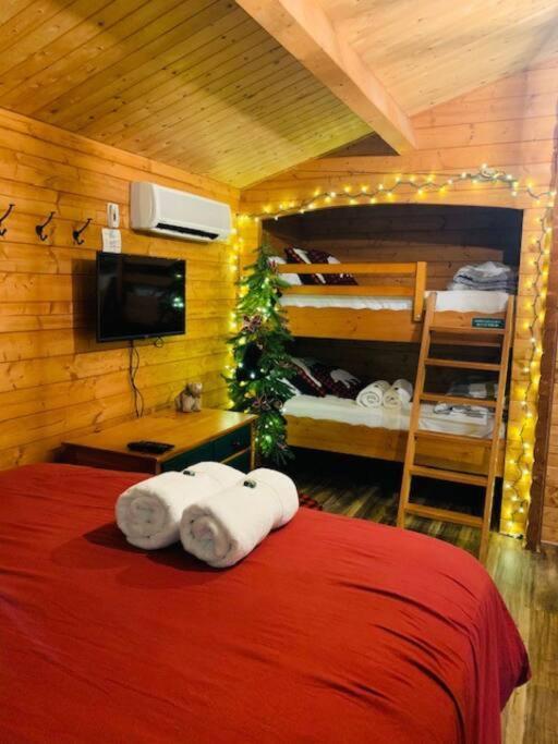 Honeybear Hideaway Cabin Hayward Ngoại thất bức ảnh