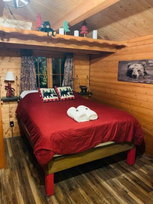 Honeybear Hideaway Cabin Hayward Ngoại thất bức ảnh