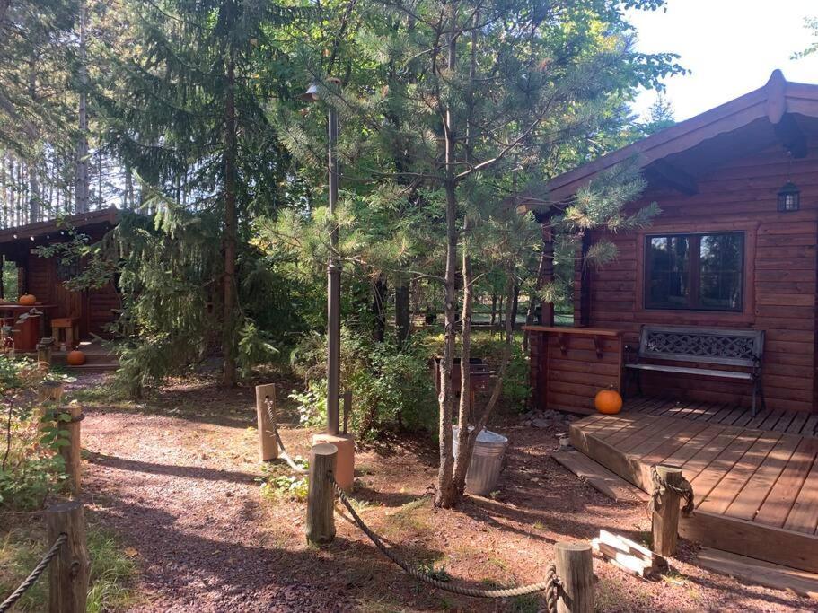 Honeybear Hideaway Cabin Hayward Ngoại thất bức ảnh