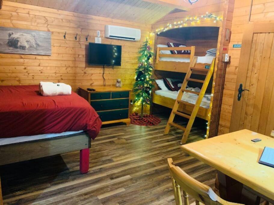 Honeybear Hideaway Cabin Hayward Ngoại thất bức ảnh