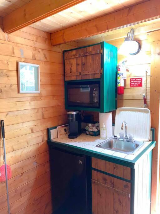 Honeybear Hideaway Cabin Hayward Ngoại thất bức ảnh