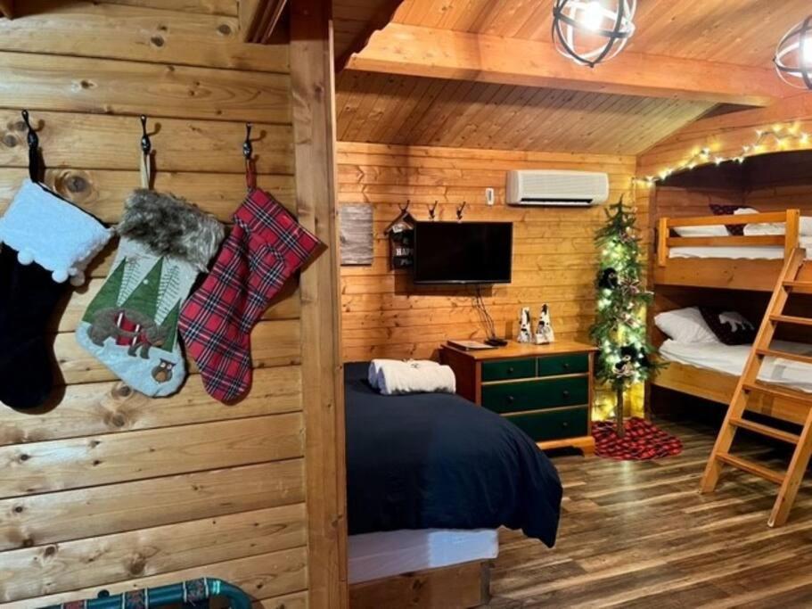 Honeybear Hideaway Cabin Hayward Ngoại thất bức ảnh