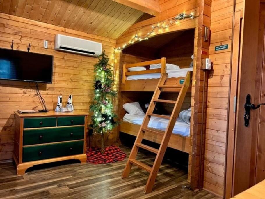 Honeybear Hideaway Cabin Hayward Ngoại thất bức ảnh